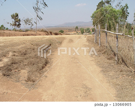 乾いた大地・道(ジャール平原/ラオス) 乾いた大地・道(ジャール平原/ラオス) 13066905