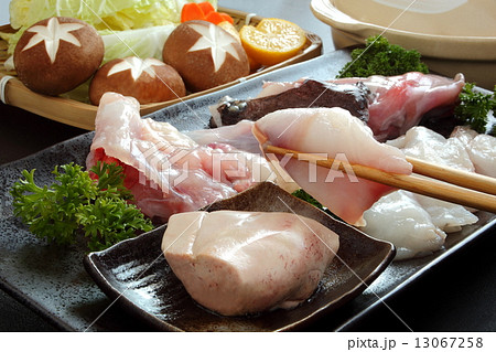 鍋 鮟鱇 あんこう鍋 鍋 鮟鱇 あんこう鍋 13067258