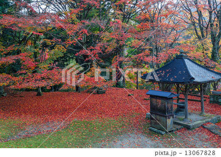 晩秋の鰐淵寺 13067828