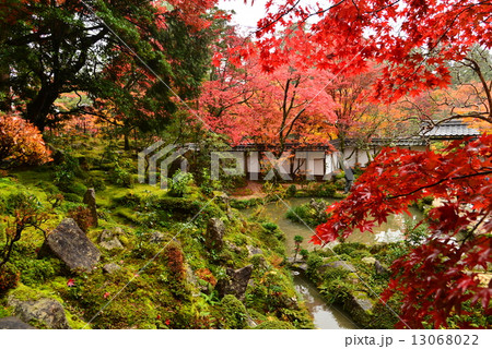 湖東三山・西明寺 13068022