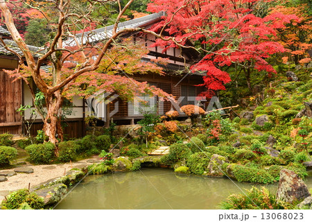 湖東三山・西明寺 13068023