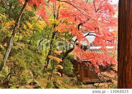 湖東三山・西明寺 13068025