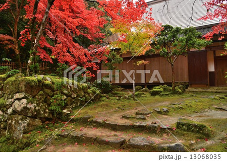 湖東三山・西明寺 13068035