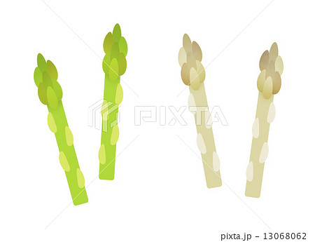 グリーンアスパラとホワイトアスパラのイラスト素材