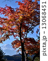 紅葉富士 13068451