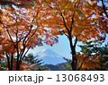 紅葉富士 13068493