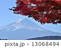 紅葉富士 13068494