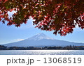 富士ともみじ 13068519