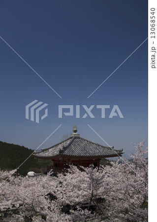 桜景色 奈良 壺阪寺 桜景色 奈良 壺阪寺 13068540