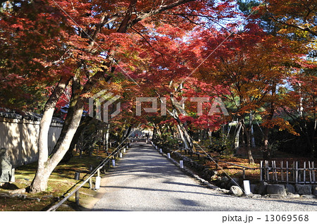 宝厳院2014年 宝厳院2014年 13069568