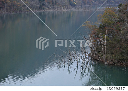 徳山ダム 13069857