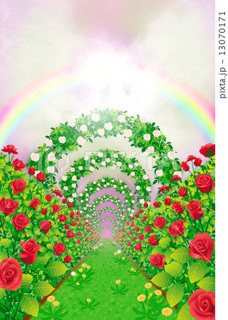 バラの花道 バラの花道 13070171