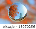宙玉：紅葉とハルカス 13070256