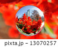 宙玉：花とハルカス 13070257