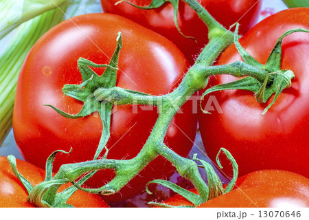 vine tomatoes 13070646