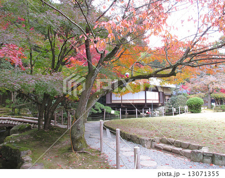 聚遠亭のもみじ紅葉 13071355