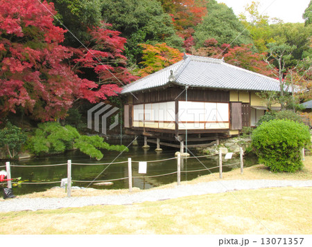 聚遠亭のもみじ紅葉 茶室楽庵と紅葉 聚遠亭のもみじ紅葉 茶室楽庵と紅葉 13071357