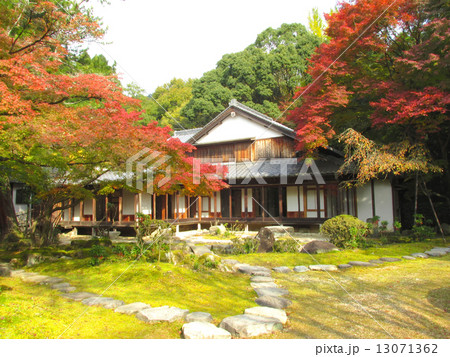 聚遠亭のもみじ紅葉　御涼所と紅葉 13071362