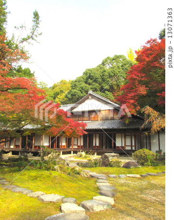 聚遠亭のもみじ紅葉 御涼所と紅葉 聚遠亭のもみじ紅葉 御涼所と紅葉 13071363