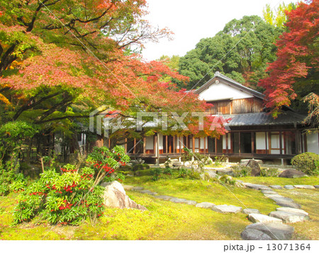 聚遠亭のもみじ紅葉　御涼所と紅葉 13071364