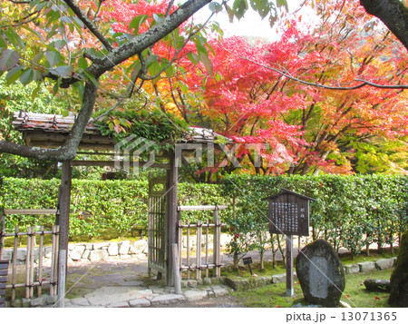 聚遠亭のもみじ紅葉 御涼所の門と紅葉 聚遠亭のもみじ紅葉 御涼所の門と紅葉 13071365