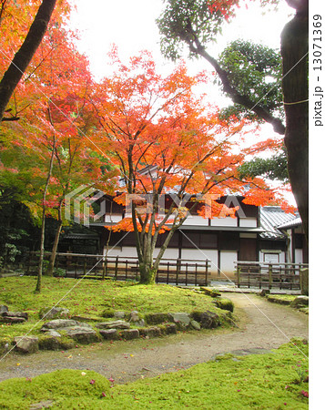 聚遠亭のもみじ紅葉　日本庭園 13071369