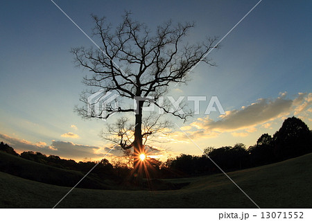 晩秋 晩秋 13071552