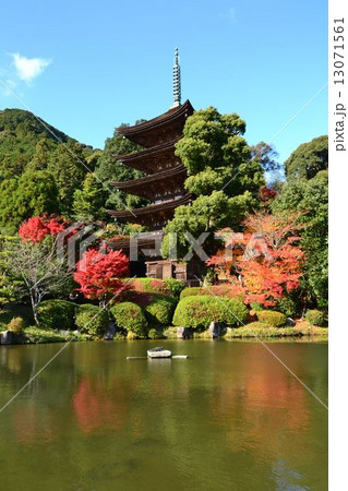 瑠璃光寺五重塔と紅葉 瑠璃光寺五重塔と紅葉 13071561