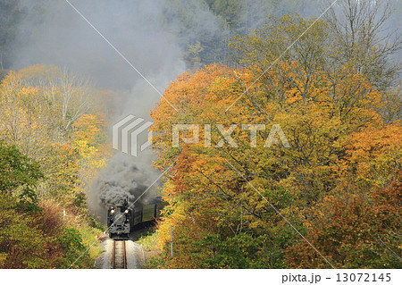 紅葉の函館本線ＳＬ 13072145