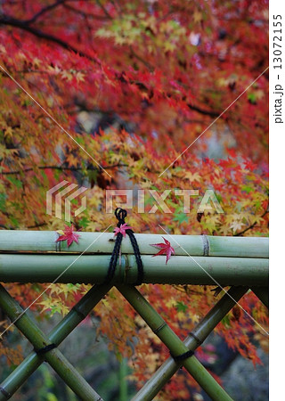 紅葉の庭園 紅葉の庭園 13072155