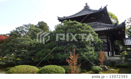 鹿王院 13072393