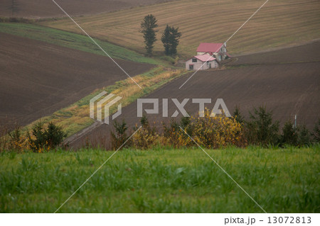 赤い屋根の家 赤い屋根の家 13072813