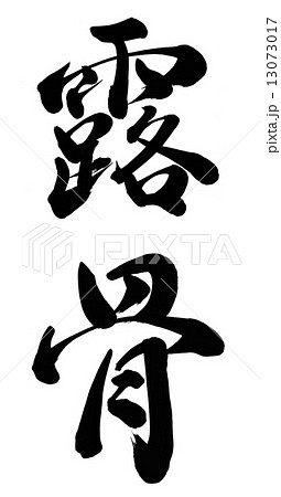 露骨 13073017