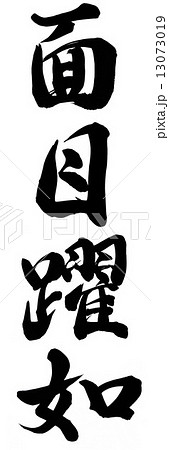 面目躍如 面目躍如 13073019