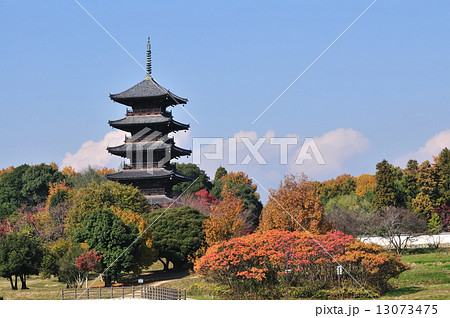 五重塔 13073475