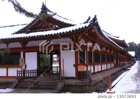 東大寺 大仏殿(奈良)回廊に積もる雪 東大寺 大仏殿(奈良)回廊に積もる雪 13073691