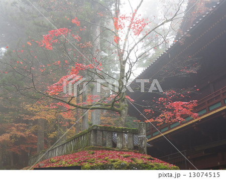 日光山輪王寺の紅葉@日光 日光山輪王寺の紅葉@日光 13074515