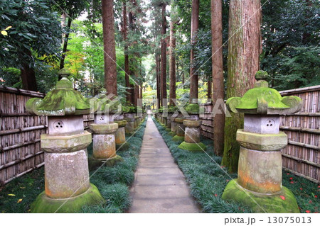 廟所参道 平林寺 石灯篭 廟所参道 平林寺 石灯篭 13075013