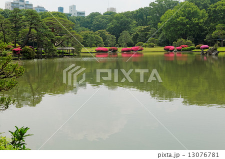 六義園の鮮やかなピンク色のサツキの花と湖面に映える景観 13076781