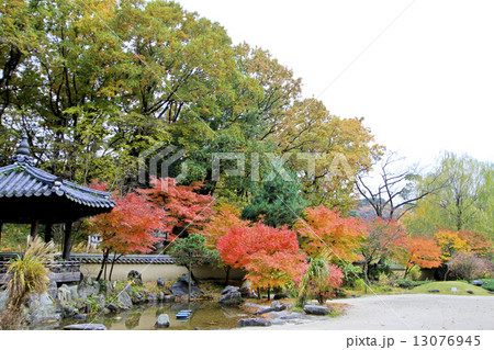 コリア庭園 コリア庭園 13076945
