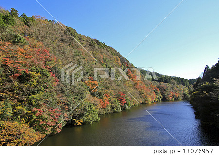 笹川渓谷　秋 13076957