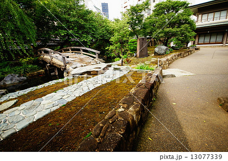東京都　文京区　湯島天神　庭園　（湯島天満宮） 13077339