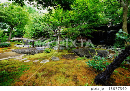 東京都 文京区 湯島天神 庭園 (湯島天満宮) 東京都 文京区 湯島天神 庭園 (湯島天満宮) 13077340