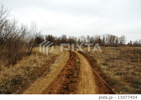 Rural road 13077404