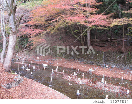 貴船川 13077814