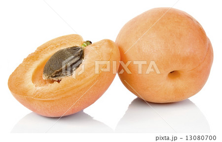 Apricot 13080700