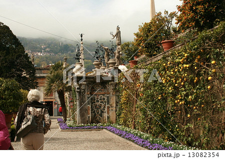 クジャクの庭 13082354