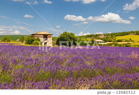 Provence. France. 13082512