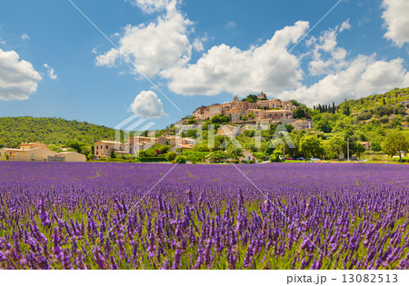 City on a hill with a lavender field City on a hill with a lavender field 13082513