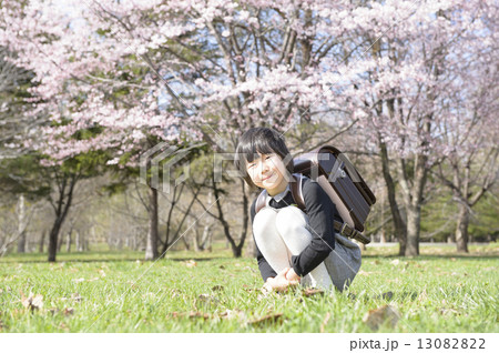一年生と桜 一年生と桜 13082822